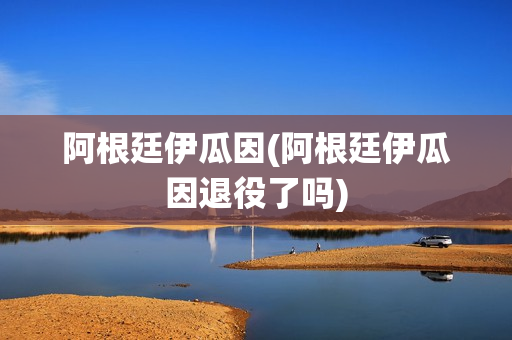 阿根廷伊瓜因(阿根廷伊瓜因退役了吗)