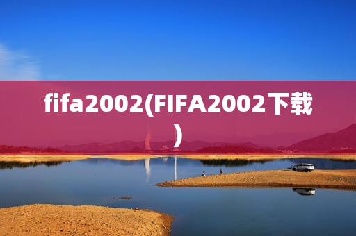 fifa2002(FIFA2002下载)