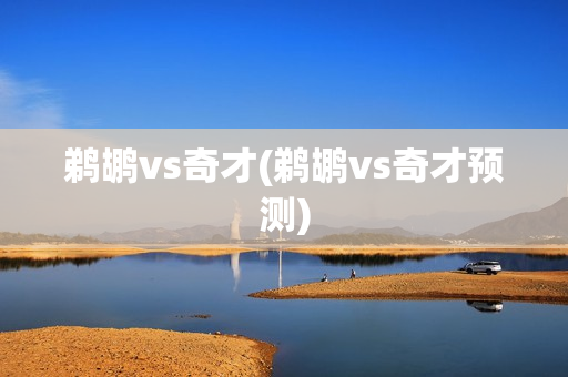 鹈鹕vs奇才(鹈鹕vs奇才预测)