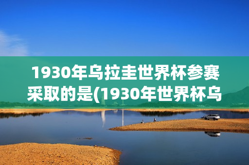 1930年乌拉圭世界杯参赛采取的是(1930年世界杯乌拉圭阵容)