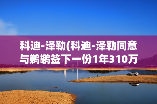 科迪-泽勒(科迪-泽勒同意与鹈鹕签下一份1年310万的合同)