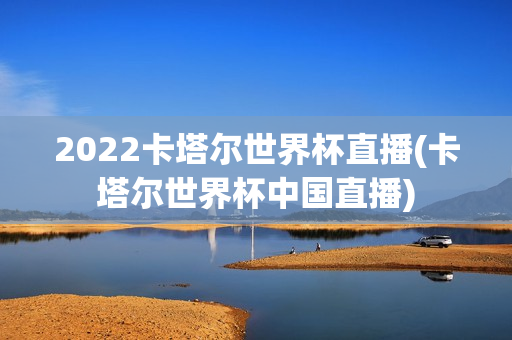 2022卡塔尔世界杯直播(卡塔尔世界杯中国直播)