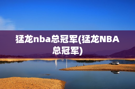 猛龙nba总冠军(猛龙NBA总冠军)