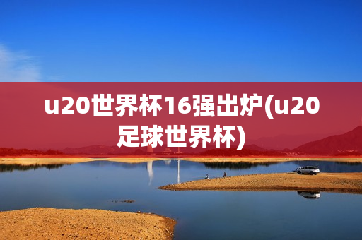 u20世界杯16强出炉(u20足球世界杯)