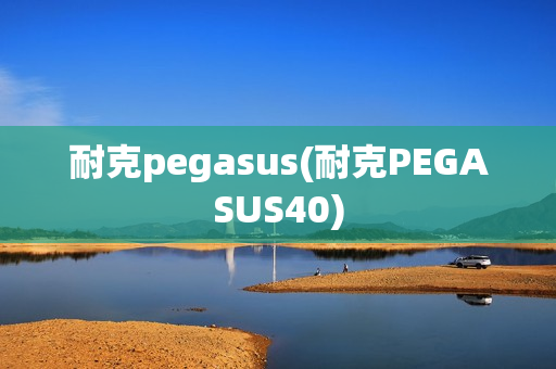 耐克pegasus(耐克PEGASUS40)