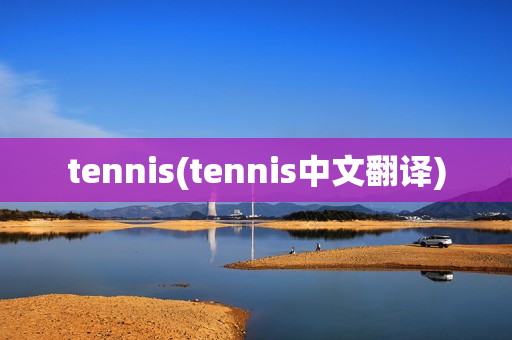 tennis(tennis中文翻译)