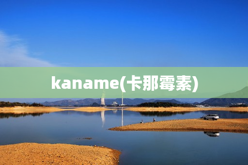 kaname(卡那霉素)