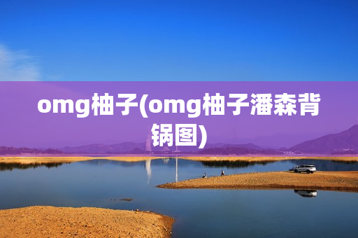 omg柚子(omg柚子潘森背锅图)