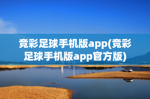 竞彩足球手机版app(竞彩足球手机版app官方版)