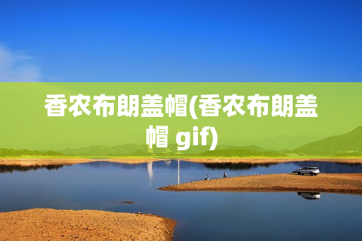 香农布朗盖帽(香农布朗盖帽 gif)