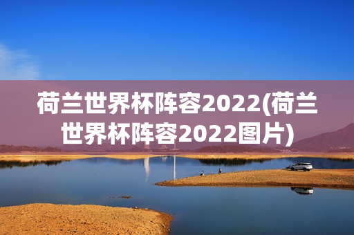 荷兰世界杯阵容2022(荷兰世界杯阵容2022图片)