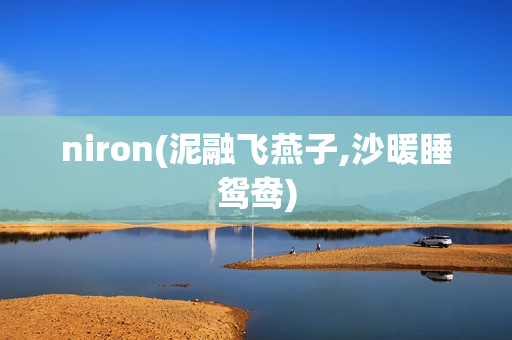 niron(泥融飞燕子,沙暖睡鸳鸯)