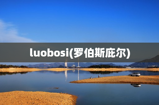 luobosi(罗伯斯庇尔)