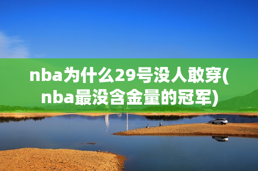 nba为什么29号没人敢穿(nba最没含金量的冠军)