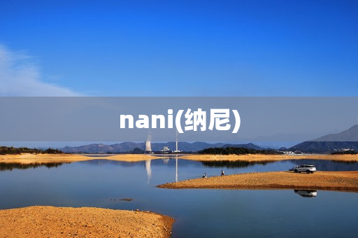 nani(纳尼)