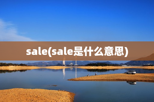 sale(sale是什么意思)