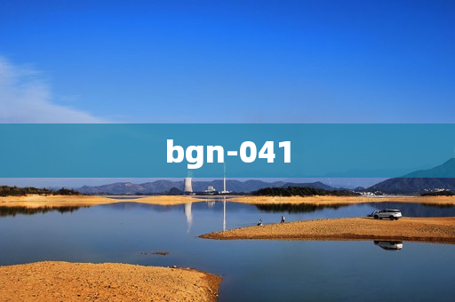 bgn-041