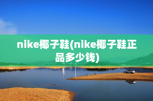 nike椰子鞋(nike椰子鞋正品多少钱)