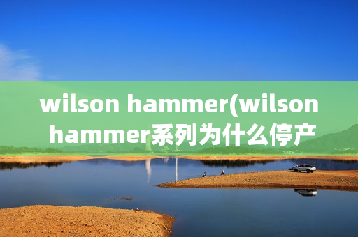 wilson hammer(wilson hammer系列为什么停产)