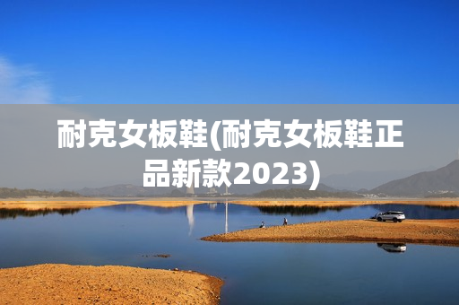 耐克女板鞋(耐克女板鞋正品新款2023)