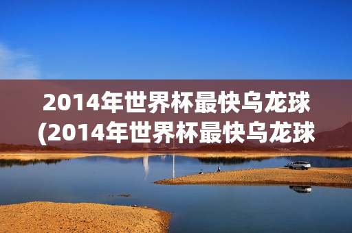 2014年世界杯最快乌龙球(2014年世界杯最快乌龙球几分钟)