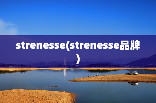 strenesse(strenesse品牌)