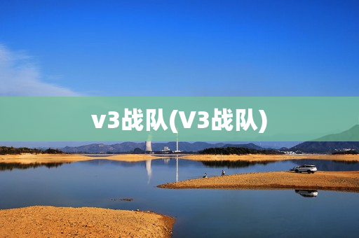 v3战队(V3战队)