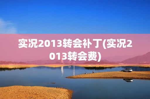 实况2013转会补丁(实况2013转会费)