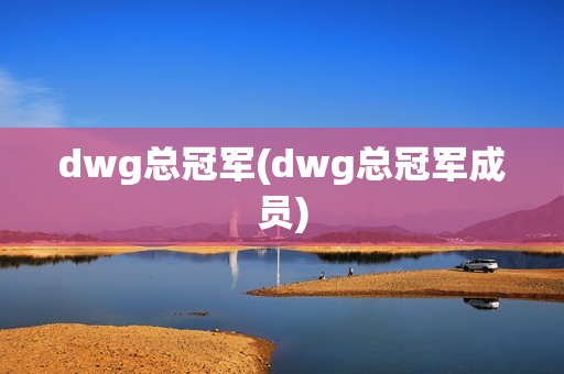 dwg总冠军(dwg总冠军成员)