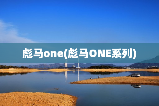 彪马one(彪马ONE系列)