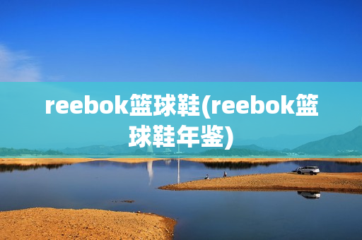 reebok篮球鞋(reebok篮球鞋年鉴)