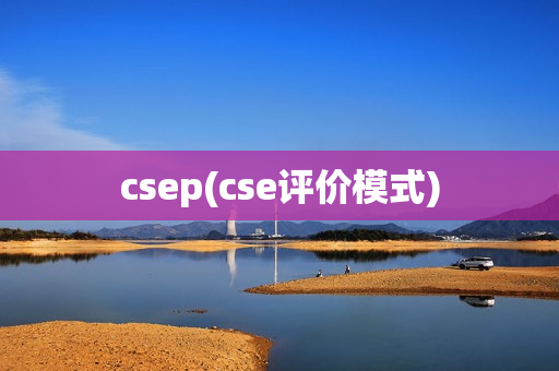 csep(cse评价模式)