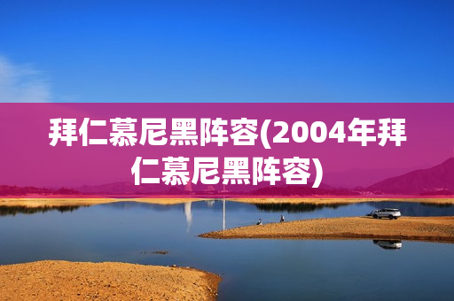 拜仁慕尼黑阵容(2004年拜仁慕尼黑阵容)