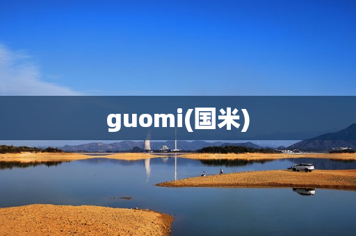 guomi(国米)