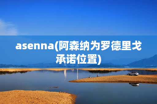 asenna(阿森纳为罗德里戈承诺位置)