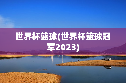 世界杯篮球(世界杯篮球冠军2023)