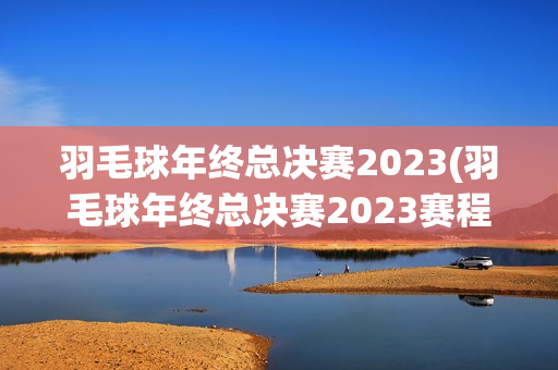 羽毛球年终总决赛2023(羽毛球年终总决赛2023赛程)