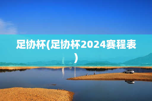 足协杯(足协杯2024赛程表)