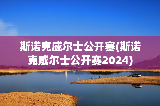 斯诺克威尔士公开赛(斯诺克威尔士公开赛2024)