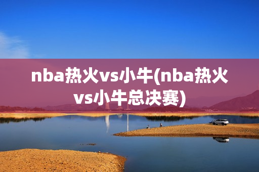 nba热火vs小牛(nba热火vs小牛总决赛)