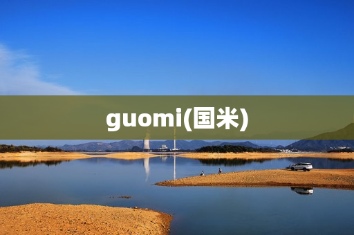 guomi(国米)