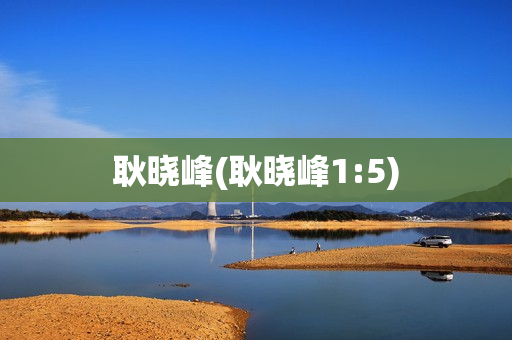 耿晓峰(耿晓峰1:5)