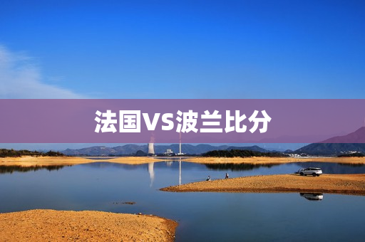 法国VS波兰比分