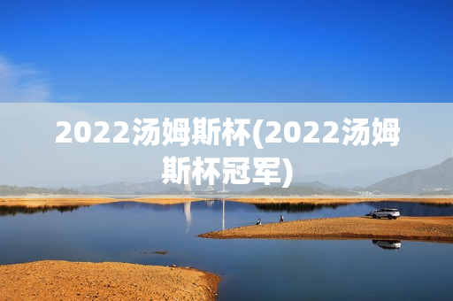 2022汤姆斯杯(2022汤姆斯杯冠军)