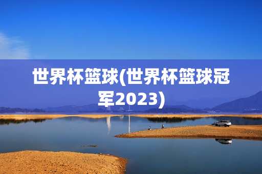 世界杯篮球(世界杯篮球冠军2023)