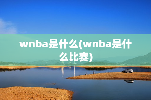 wnba是什么(wnba是什么比赛)