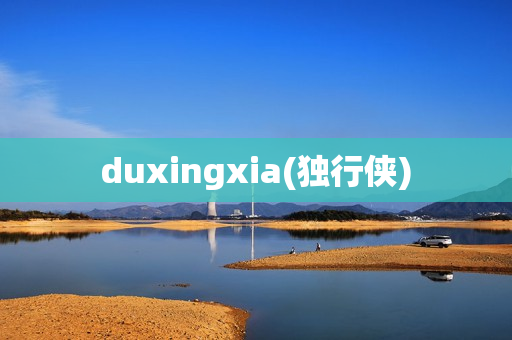 duxingxia(独行侠)