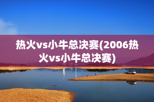 热火vs小牛总决赛(2006热火vs小牛总决赛)