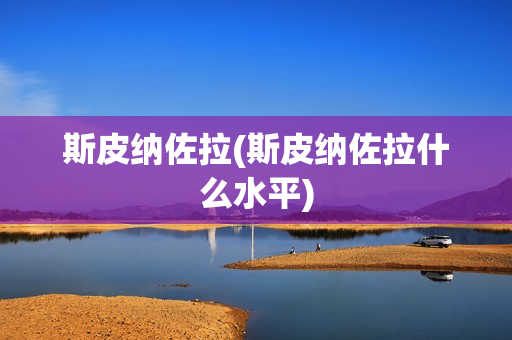 斯皮纳佐拉(斯皮纳佐拉什么水平)