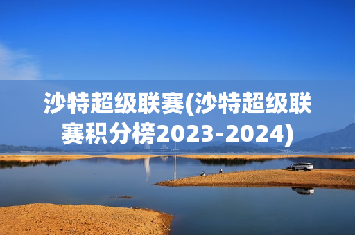 沙特超级联赛(沙特超级联赛积分榜2023-2024)